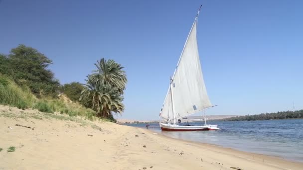 エジプトのナイル川の岸にフェルッカ — ストック動画