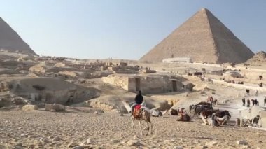 Adam sürme deve çölde 