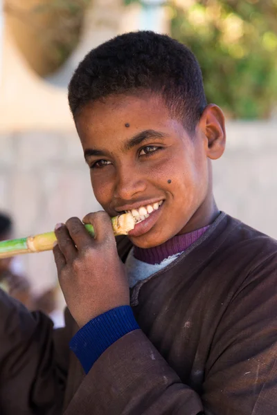 Нубийский мальчик ест сахарный тростник — стоковое фото