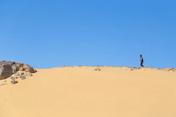 砂漠で歩く、ヌビア人 — ストック写真