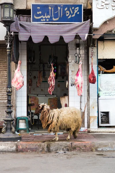 Sheep  in front of butcher shop — Stock Photo, Image