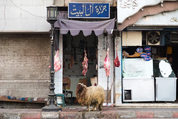 Sheep  in front of butcher shop — Stock Photo, Image