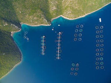 Dugi Otok Hırvatistan'ın tarım balık