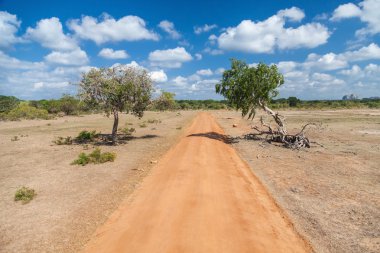toprak yol yala Milli Parkı