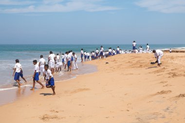 Group of school kids at beach at Sea Turtle Farm and Hatchery clipart