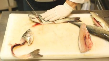 Kesme ve Balık Temizleme Şef