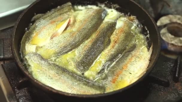 Fisch in Pfanne braten — Stockvideo