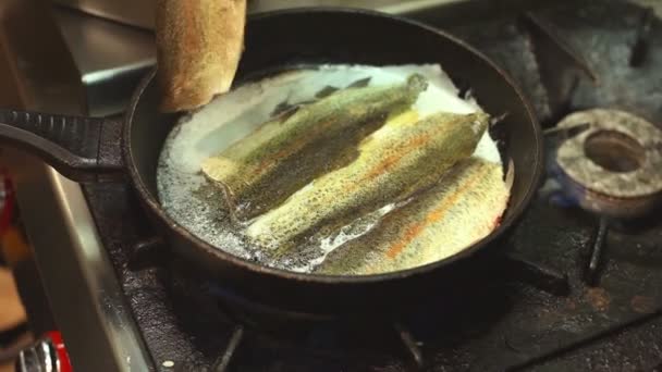 Chef frying fish in pan — Stock Video