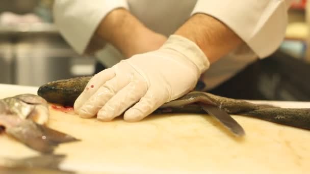 Chef-kok snijden en schoonmaken van vis — Stockvideo
