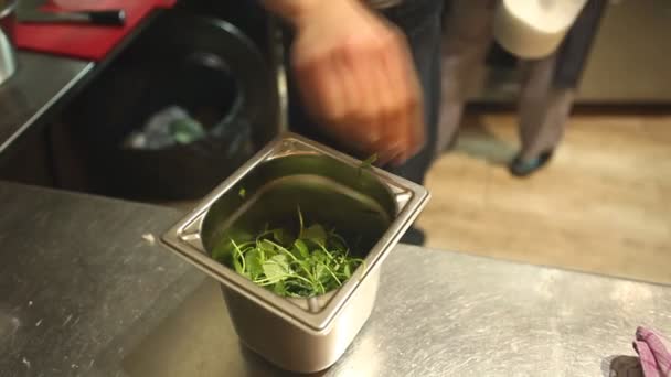 그릇에 신선한 로켓 샐러드 — 비디오