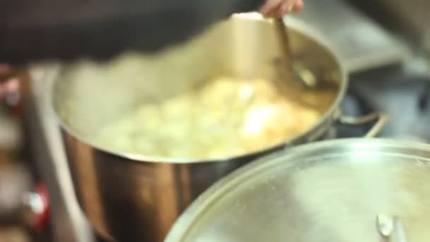 Chef-kok koken schotel — Stockvideo