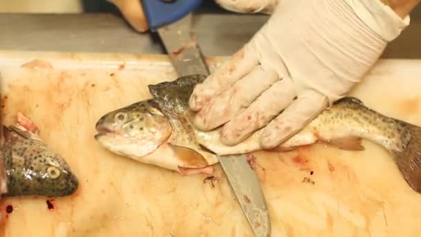 Kocken styckning och rengöring fisk — Stockvideo