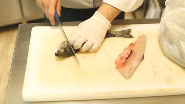 Chef-kok snijden en schoonmaken van vis — Stockvideo