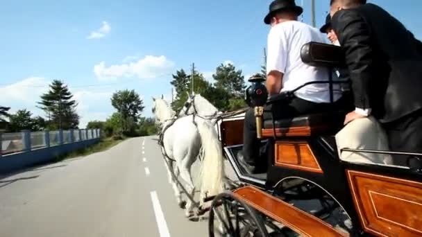 Men sitting on horse drawn carriage — Stock Video