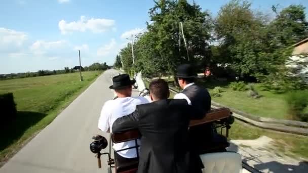 Чоловіки сидять на коні намальованому вагоні — стокове відео