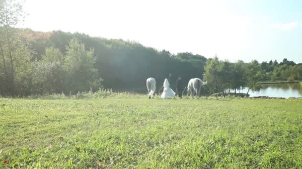 Paar wandelen in prachtige natuur — Stockvideo