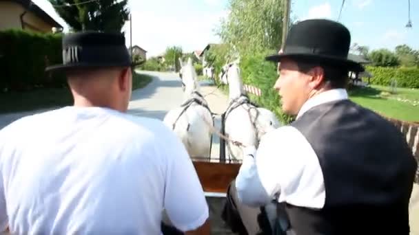 Deux hommes en calèche — Video