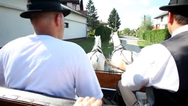 Hommes assis sur une calèche à cheval — Video