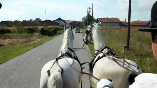 Muži, sedící na koňským povozem — Stock video