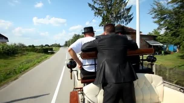 Hommes assis sur une calèche à cheval — Video