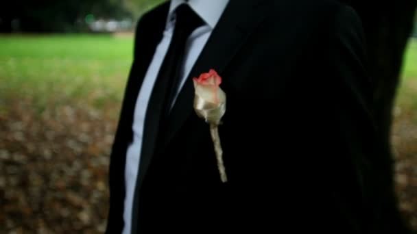 Standing bridegroom with lapel flower — Stock Video