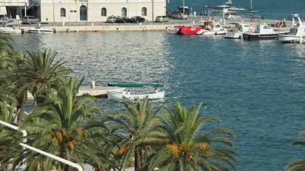 Paseo marítimo y portuario — Vídeos de Stock