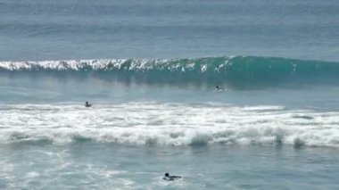 İnsanlar üzerinde sörf tahtası Yüzme