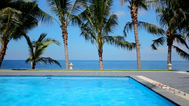 Yüzme havuzu ve palmiye ağaçları — Stok video