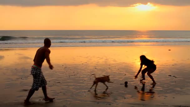 Paar spelen op strand met hond bij zonsondergang, Bali — Stockvideo