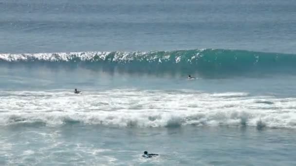 Gente nadando en tabla de surf — Vídeo de stock