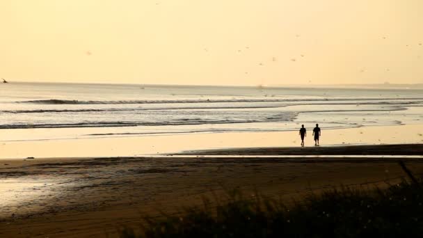 Personas caminando en la playa — Vídeos de Stock