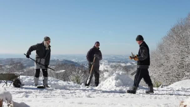 Gente tratando de construir escultura de hielo — Vídeos de Stock