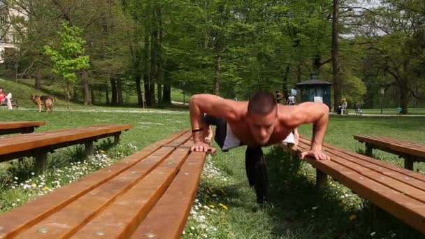 Hombre haciendo flexiones en el banco — Vídeo de stock