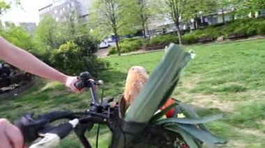 Kız binicilik bisiklet sepeti ile