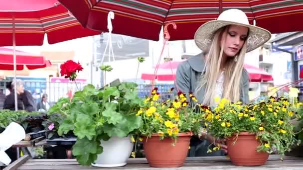 Girl looking at flowers in market — Stock Video