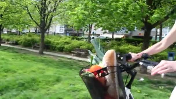Bicicleta con cesta llena de frutas y verduras — Vídeos de Stock