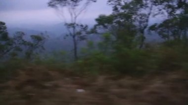 Trenden Nuwara Eliya sisli manzara