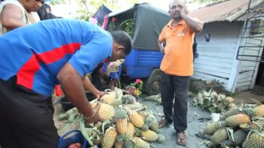 Adam ananas Hikkaduwa market alış