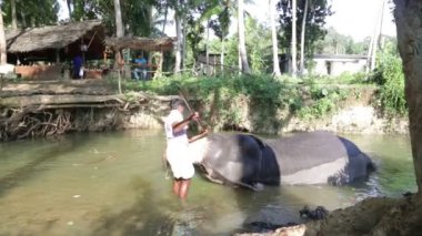 Fil ile bir akış döşeme onun fil