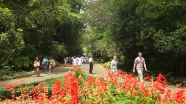 İnsanlar Kandy Botanik bahçesinde