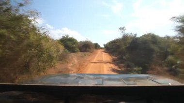 Jeep safari sırasında