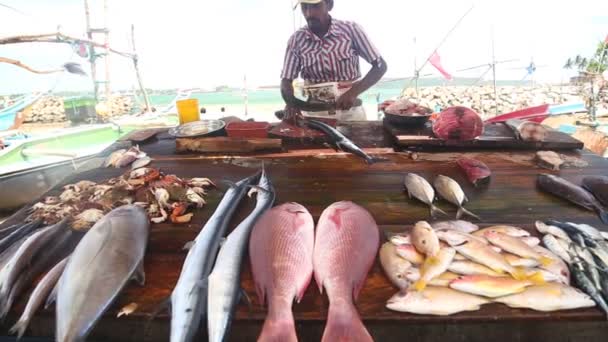 Mann schneidet Fisch auf dem Hikkaduwa-Sonntagsmarkt — Stockvideo