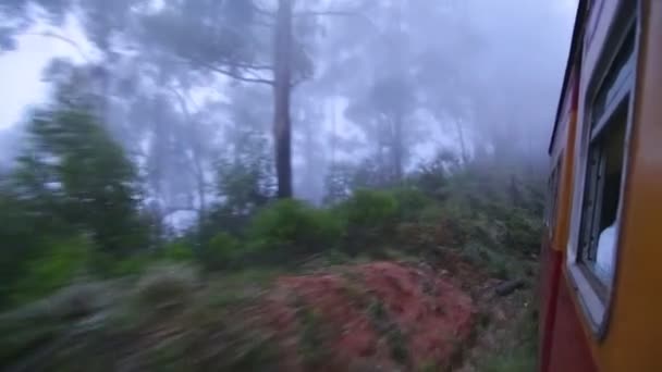 Nuwara Eliya paisagem nebulosa do trem — Vídeo de Stock