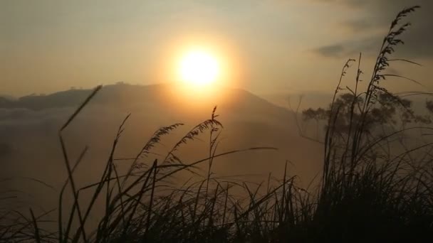 Vista de un amanecer brumoso en el Pico del Pequeño Adán — Vídeos de Stock
