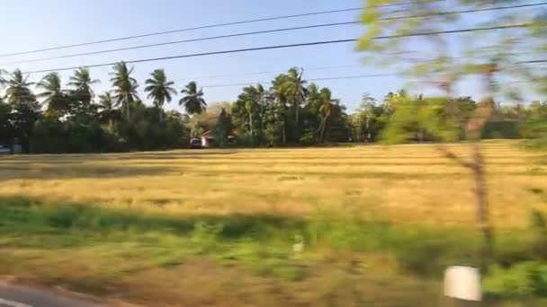 Blick auf eine Landschaft aus einem fahrenden Bus. — Stockvideo