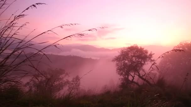 Foggy sunrise on the Little Adam 's Peak — стоковое видео