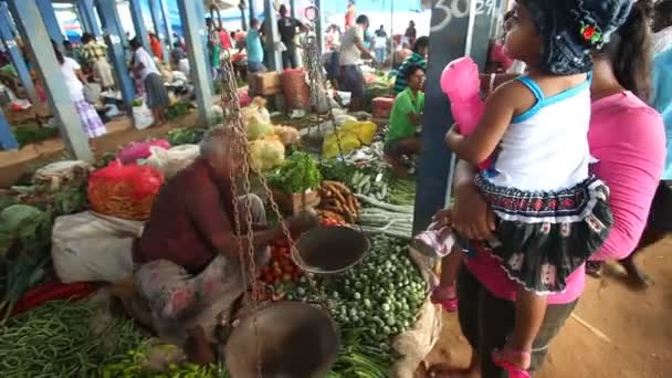 Man selling vegetable — Stock Video