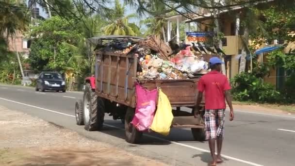 Coletores de lixo locais e caminhões — Vídeo de Stock