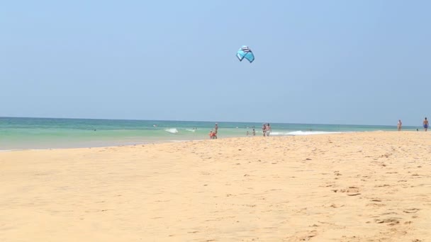 Uomo che gioca con aquilone sulla spiaggia di sabbia — Video Stock