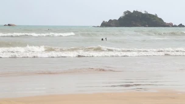 웰 리가 마에 바다에 서퍼의 보기 — 비디오
